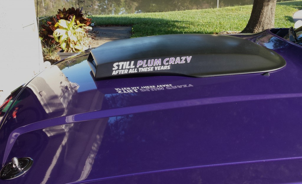 still-plum-crazy